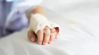 Nie żyje 2-latka, która zaraziła się wirusem od gołębi