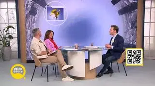 5 rzeczy, które musisz wiedzieć o poranku