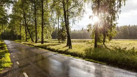 Pogoda na weekend 29-30 lipca. Czy upały powrócą?