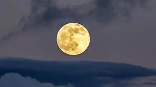 Pełnia Księżyca w październiku, czyli Księżyc Myśliwych. Kiedy będzie można go zobaczyć? 