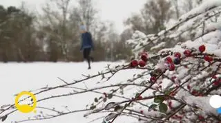 Julia Kamińska i jej muzyczna przygoda 