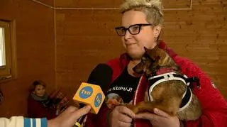 Najlepsza pora na domek dla psiego seniora