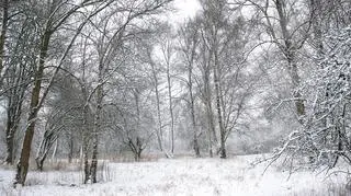 Pogoda na niedzielę, 17 marca. Czeka nas spore ochłodzenie i będzie ślisko. Gdzie spadnie śnieg?