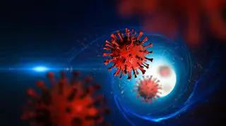 Badacze wykryli nowy wariant koronawirusa. "Prawdopodobnie najgorszy, z jakim mierzy się teraz świat"