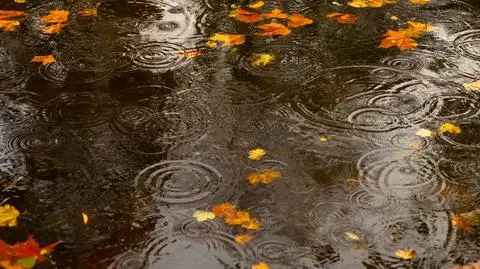 Pogoda na sobotę, 22 października. Jaka będzie aura? 