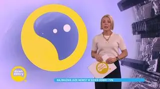 Najświeższe newsy w Dzień Dobry TVN 