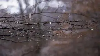 Prognoza pogody na czwartek 28 grudnia. Ile będzie stopni?