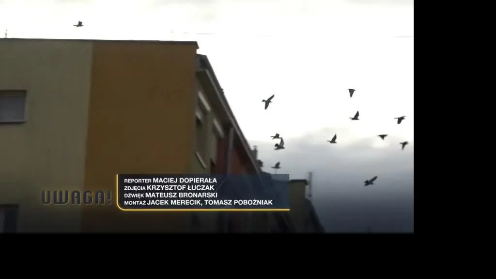 Uwaga! TVN