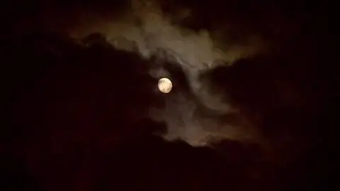 Uwaga! TVN: Pasażerki koszmarnego przejazdu