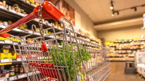 Do jednego z łódzkich sklepów weszło dzikie zwierzę