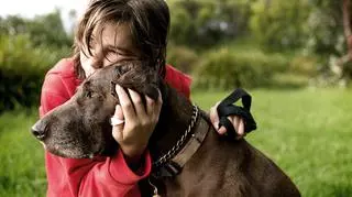 Chłopiec przytulający psa. Zwierzęta domowe. Akcesoria dla zwierząt.