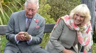 Królowa Camilla zaskoczyła odważnym gestem wobec króla Karola. "Uwielbiam ich relację"