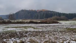 Pogoda na ostatni weekend stycznia. Gdzie może prószyć śnieg?