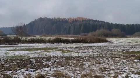 Pogoda na ostatni weekend stycznia - 28-29.01.2023. Gdzie może prószyć śnieg?