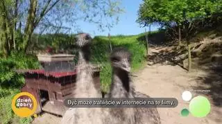 “Beatka, uspokój się!” - napisy