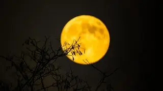 Zimny Księżyc - sperpełnia w Dąbrowie Tarnowskiej