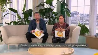 Adoptuj i kochaj - napisy