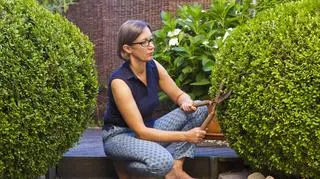 Bukszpan w ogrodzie i na tarasie - jak go sadzić, przycinać i chronić przed chorobami?