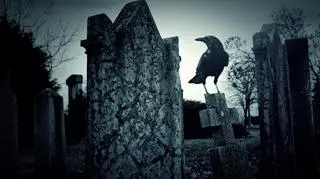 Za czary karano nawet po śmierci, także dzieci. "Diabeł w ramach paktu mógł opanowywać ciało zmarłego"