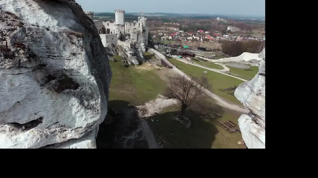 Ślub od pierwszego wejrzenia 