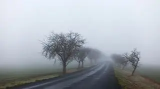 Pogoda na czwartek. Marznące mgły ograniczające widoczność w kilku regionach