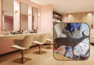 Jeleń wbiegł do salonu piękności. "To było przerażające"