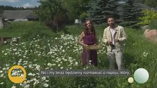 Napój z ziół i kwiatów - surica, czyli słodka tajemnica naszych babć (napisy)