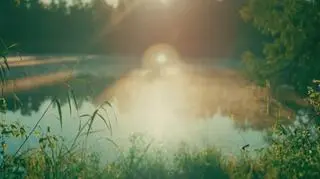 Dzień Dobry Wakacje - Co będzie w programie w niedzielę, 3 sierpnia 2025 r.