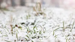 W prognozach widać już pierwszy śnieg. "To pierwsze symptomy zbliżającej się zimy"