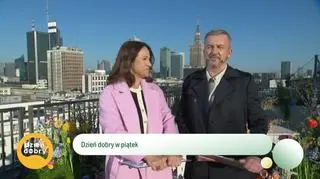 Bociany wracają do Polski 