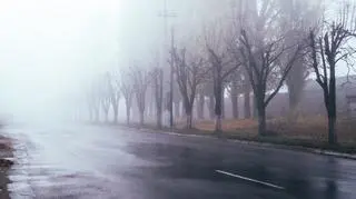 Pogoda na wtorek. Szykuje się mglisty i pochmurny dzień