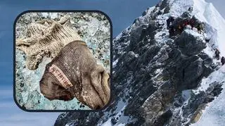 Niewiarygodne odkrycie na Mount Everest. Testy DNA wyjaśnią wszystko