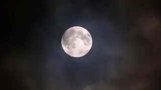 Ostatnia Pełnia w 2025 roku tylko zza chmur