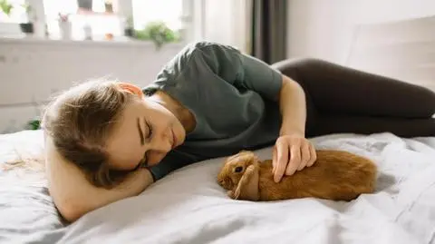 Najczęstsze choroby królików i ich objawy