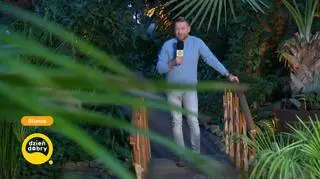 Szukamy kolorów w Palmiarni 