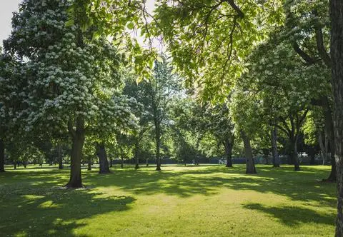 Nagły wzrost temperatury w Polsce. To efekt fenowy