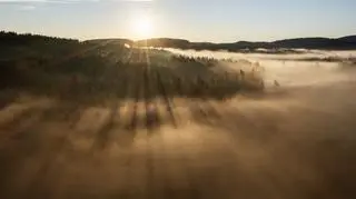 Pogoda na dzisiaj. W tych regionach będzie mocno wiało - IMGW wydało alerty