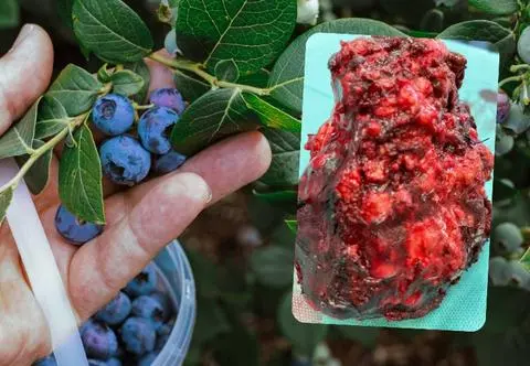 Jesz nieumyte owoce? To niebezpieczne. Do szpitali trafia coraz więcej pacjentów