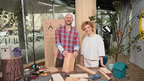 Budowa i montaż budki lęgowej dla ptaków - poradnik krok po kroku