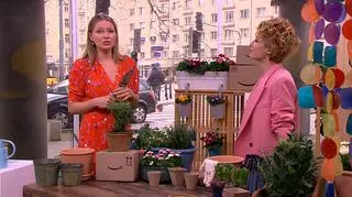 "W plastiku rośliny nie oddychają". Jak zatem stworzyć zielny ogródek w domu? 
