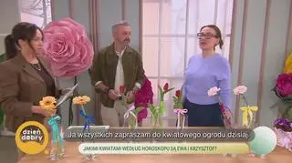 Horoskop kwiatowy - napisy