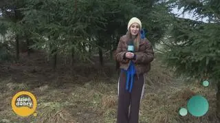 Pogoda na dziś 