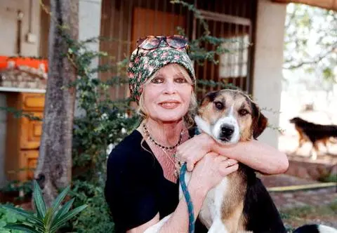 Brigitte Bardot przeszła operację. "Z powodu poważnej choroby"