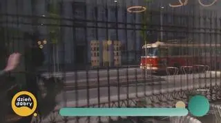 Twarze Gdyni na dywanach - napisy