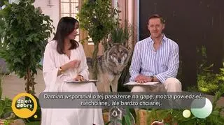 Żołędnica z Francji pasażerką na gapę (napisy)