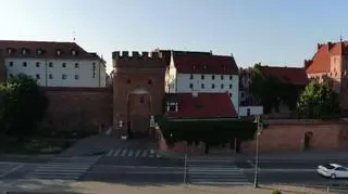Prywatny detektyw pomoże znaleźć zaginionego psa (napisy)