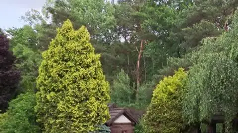 DD_20250627_IchTroje_rep