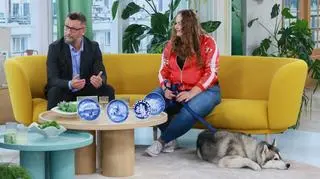 Dlaczego husky nie jest psem dla każdego? "Ciężko znoszą"