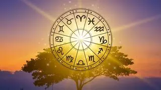 Horoskop dzienny na środę, 27 listopada 2024 r. - Lew, Panna, Waga, Skorpion