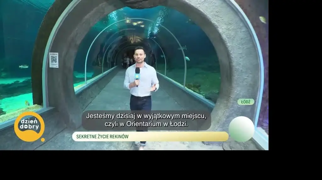 DD_20250618_Rekiny_live_napisy